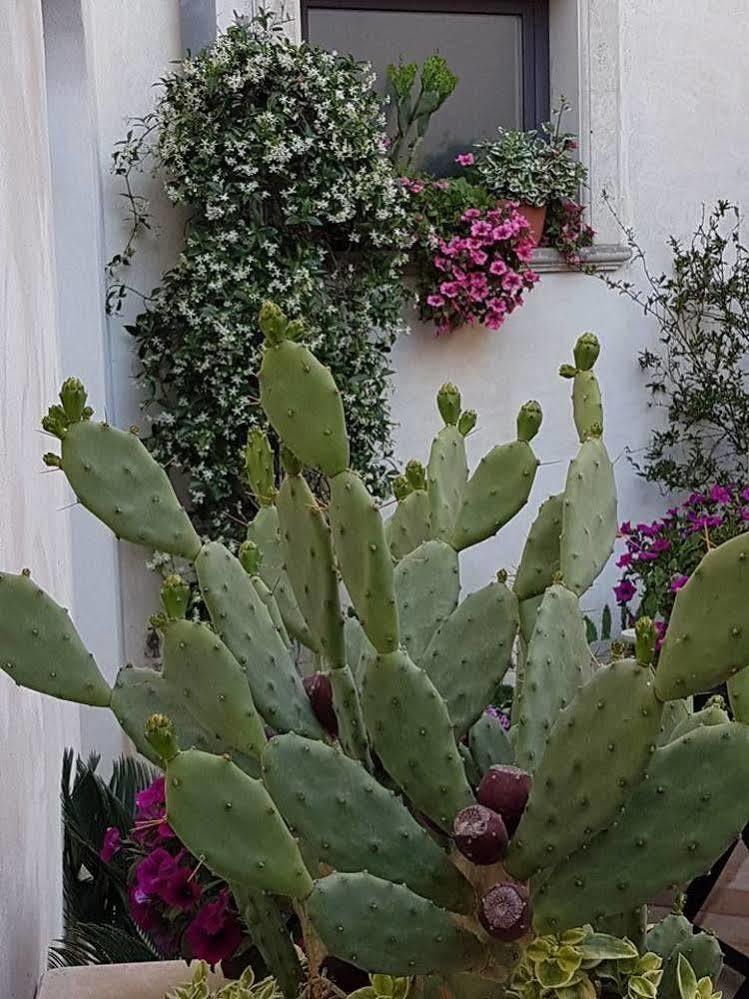 Palazzo Volta Boutique Luxury B&B Nardò Exteriör bild
